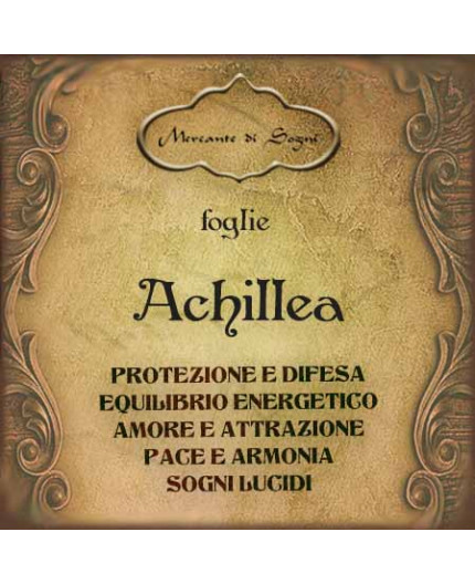 Achillea | Erba delle streghe