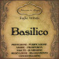 Basilico | Foglie Basilico | Foglie