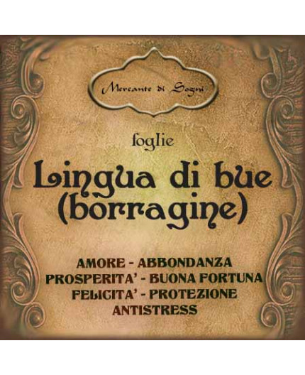 Lingua di bue | Borragine Lingua di bue | Borragine