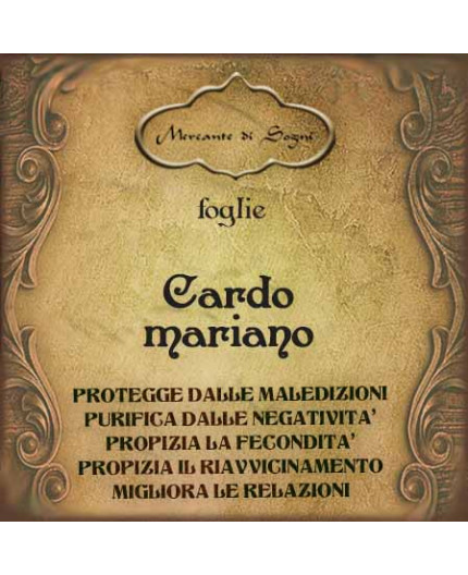 Cardo mariano | Foglie