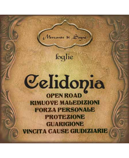 Celidonia | Foglie