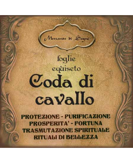 Coda di cavallo | Equiseto