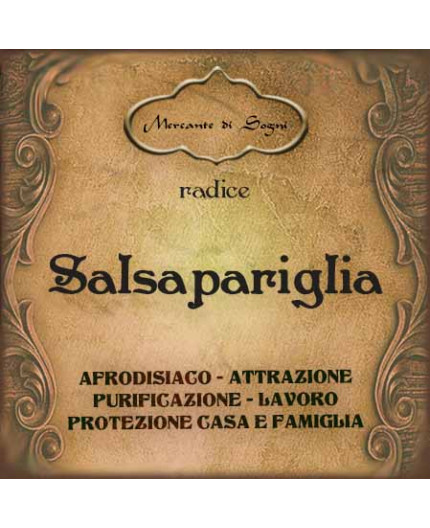 Salsapariglia | Radice