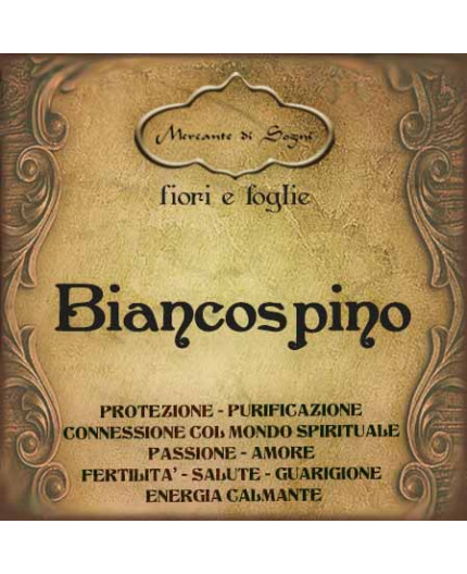 Biancospino | Fiori e foglie