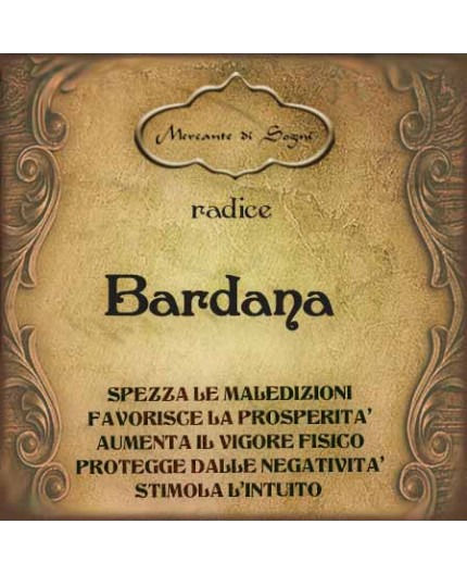Bardana | Radice Arctium lappa