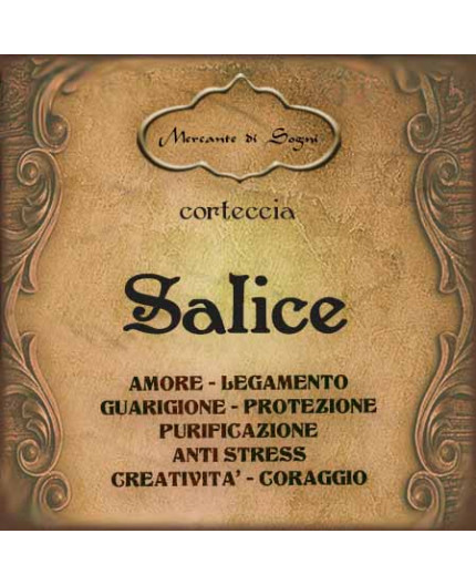 Salice | Corteccia