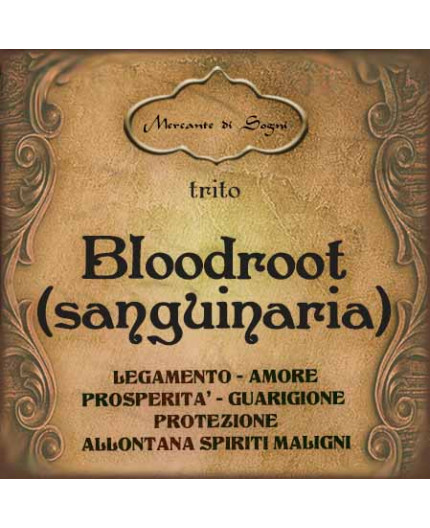 Bloodroot | Pianta tritata