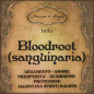 Bloodroot | Pianta tritata Bloodroot | Pianta tritata
