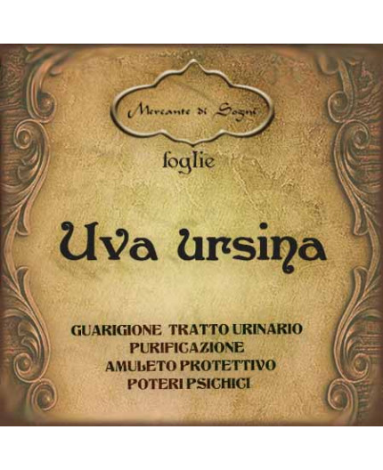 Uva ursina | Foglie