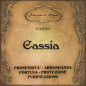 Cassia | Canna Cassia | Canna