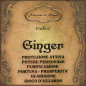 Ginger | Radice