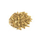 Ginger | Radice