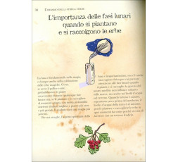 L'Erbario della Strega Verde