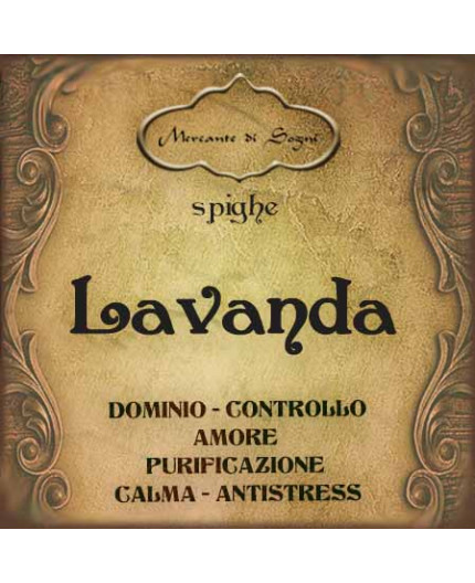 Lavanda | Fiori
