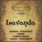 Lavanda | Fiori