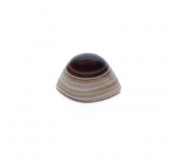 Occhi di Shiva