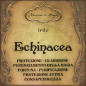 Echinacea | Foglie e Radici