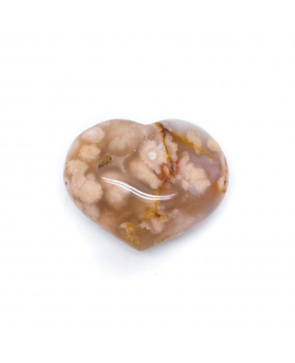 Cuore di Agata Sakura