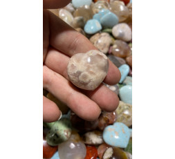 Cuore di Agata Sakura