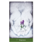 I Tarocchi del Divino Femminile | Carte + Libro