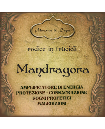 Mandragora | Radice