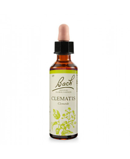 Clematis | Fiore di Bach nr 9