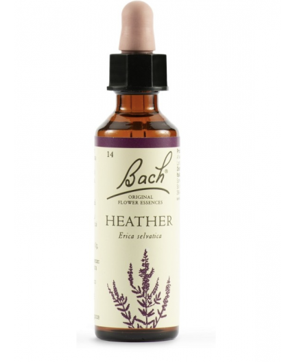 Heather | Fiore di Bach nr 14