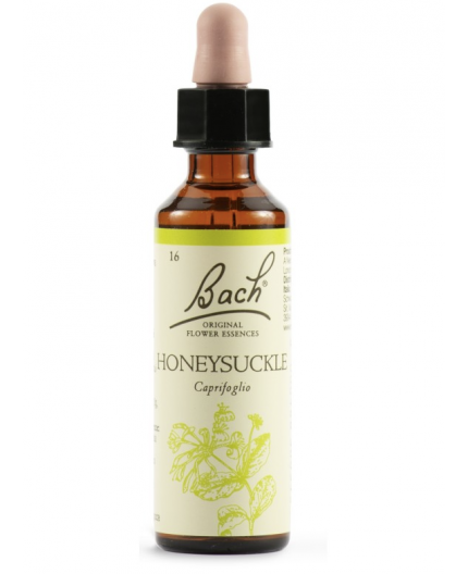 Honeysuckle | Fiore di Bach nr 16