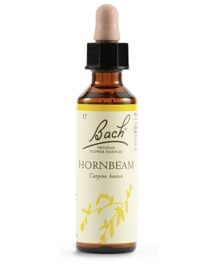 Hornbeam | Fiore di Bach nr 17