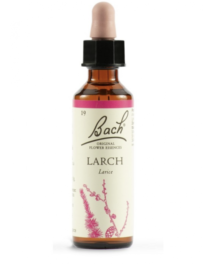Larch | Fiore di Bach nr 19
