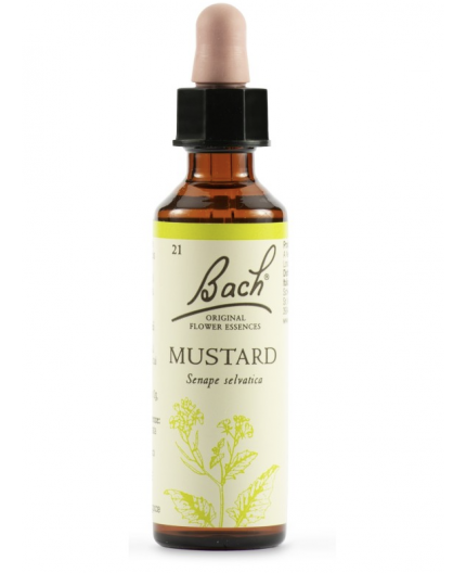 Mustard | Fiore di Bach nr 21