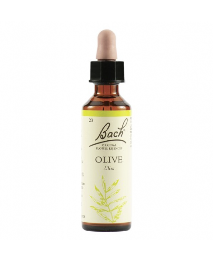 Olive | Fiore di Bach nr 23