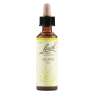 Olive | Fiore di Bach nr 23
