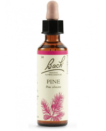 Pine | Fiore di Bach nr 24