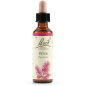 Pine | Fiore di Bach nr 24