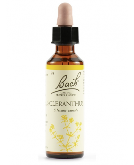 Scleranthus | Fiore di Bach nr 28