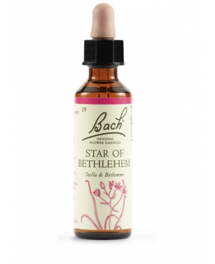 Star of Bethlehem | Fiore di Bach nr 29