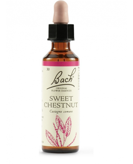 Sweet Chestnut | Fiore di Bach nr 30