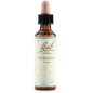Vervain | Fiore di Bach nr 31