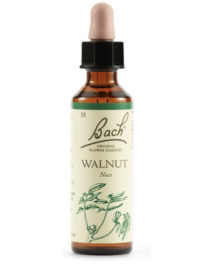 Walnut | Fiore di Bach nr 33 Walnut | Fiore di Bach nr 33
