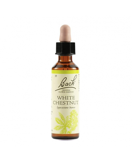 White Chestnut | Fiore di Bach nr 35