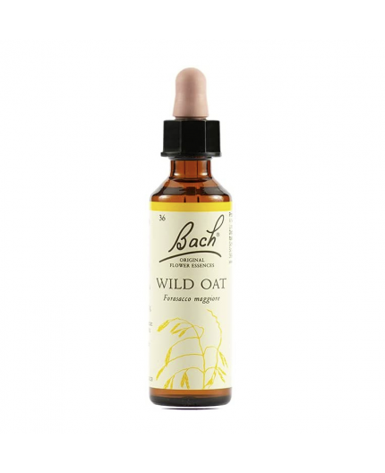 Wild Oat | Fiore di Bach nr 36