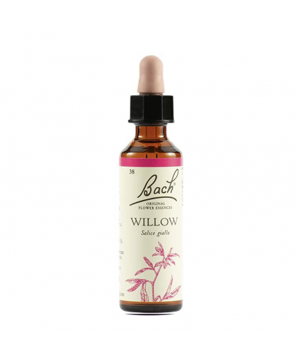 Willow | Fiore di Bach nr 38