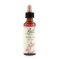 Willow | Fiore di Bach nr 38