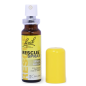 Resque Spray | 20 ml