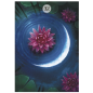 Herbs & Plants Lenormand Oracle Cards Herbs & Plants Lenormand Oracle Cards