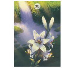 Herbs & Plants Lenormand Oracle Cards
