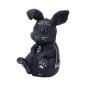 Bunerius | 9,7cm