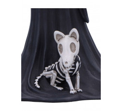 Eternal Skeleton Companion cm 24