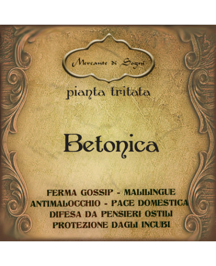 Betonica